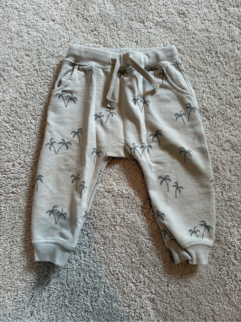 Rylee + Cru Palm-Print Jogger Pants
